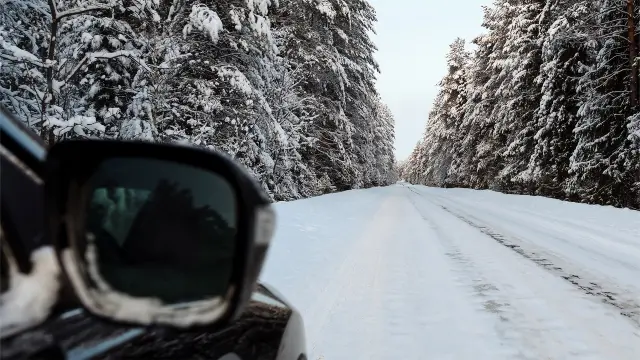 Vacaciones de Invierno